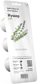 Click & Grow Smart Home Hyssop Refill 3-Pack