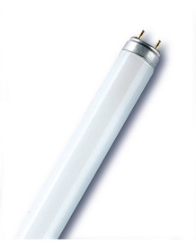 Лампочка Osram Люминесцентная, белый, G13, 36 Вт, 1400 лм