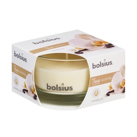 Lõhnaküünal Bolsius 50/80 Vanilla, 14 h