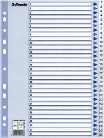 Esselte Document Divider Book 1-31