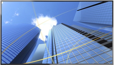 Monitorius NEC MultiSync E556