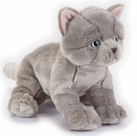 Dante National Geographics British Cat 25cm