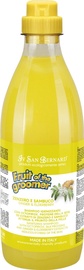 Iv San Bernard Ginger & Elderberry Shampoo 1000ml