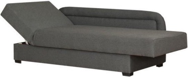 Диван-кровать Bodzio Dawid Left Gray S3, 205 x 87 x 40 см