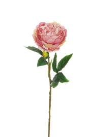 Искусственный цветок пион, розовый, 670 мм