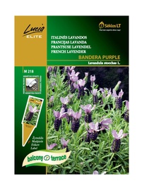 Francijas lavandas sēklas Bandera Purple