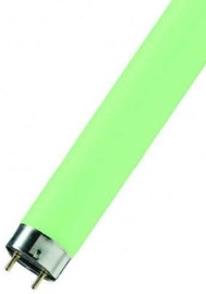Osram Lumilux Lamp 18W G13 Green