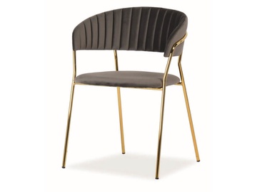 Стул для столовой Signal Meble Lira Velvet Grey/Gold, 1 шт.
