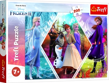 Pusle Frozen 2 13249, 200 tk