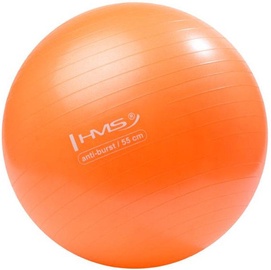 HMS Gym Ball YB02 55cm Orange