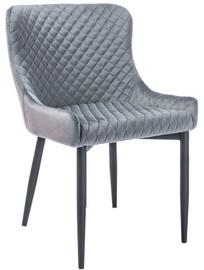 Стул для столовой Signal Meble Modern Colin B Velvet, черный/серый