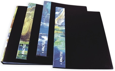 Milan Pocket Folder Factis 40pcs