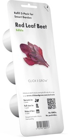 Click & Grow Smart Home Red Leaf Beet Refill 3-Pack