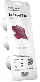 Семена для умных садов Click & Grow, мангольд, 40 г, 3 шт.