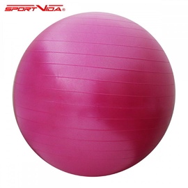 Массажный шарик SportVida HK0287, 55 см