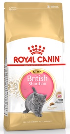 Sausā kaķu barība Royal Canin FBN Kitten British Shorthair, 2 kg