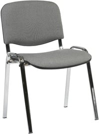 Apmeklētāju krēsls Home4you Iso 641632, pelēka/hroma, 42.5 cm x 55 cm x 82 cm