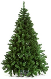 Verners Dakota Christmas Tree 180cm