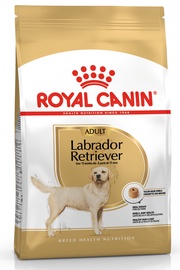 Royal Canin BHN Labrador Retvrievier Adult 12kg