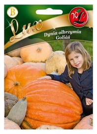 SĒKLAS LUX LIELAIS ĶIRBIS GOLIAŠ