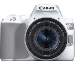 Peegelfotoaparaat Canon EOS 250D + 18-55mm IS STM Kit White