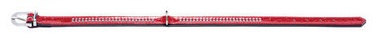 Hunter Collar Modern Art Fashion Kroko 18/100 Red