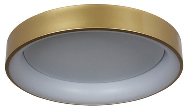 Lampa Light Prestige Georgia LP-049/1C GD, griesti, 36 W, LED