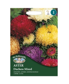 ASTERES Duchess Mixed