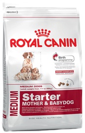 Royal Canin SHN Medium Starter 4kg
