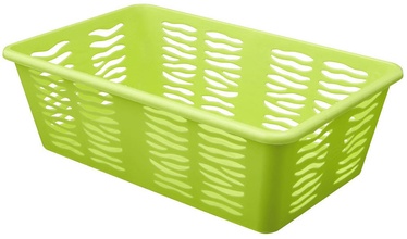 BranQ Basket Zebra2 Green