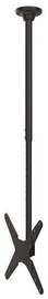 NewStar FPMA-C340BLACK Ceiling Mount