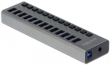 Delock 63977 13-Port USB 3.0 Hub