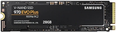 Kietasis diskas (SSD) Samsung 970 EVO Plus, M.2, 250 GB