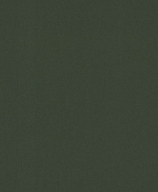 Viniliniai tapetai Rasch Barbara 860245