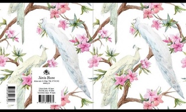 Jānis Roze Line Notebook JR9 48 Pages Peacock
