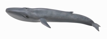Žaislinė figūrėlė Collecta Blue Whale 88834
