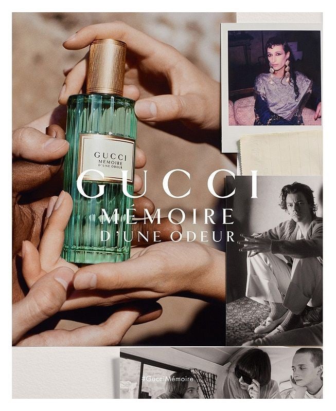 mémoire gucci