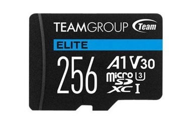 Mälukaart Team Group, 256 GB
