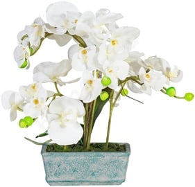 Home4you White Orchid Knotted 5 H36cm