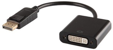 Laidas RoGer Displayport to DVI Video Displayport, DVI, juoda