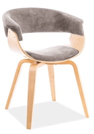 Signal Meble Indiana Velvet Chair Gray/Oak