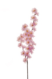 Mākslīgie ziedi Artificial Flower Orchid 53cm 80-314642