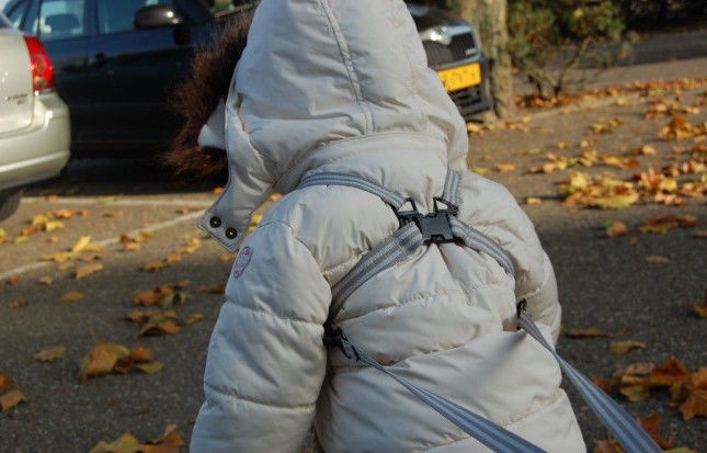 Vaikų vaikščiojimo petnešos Jippie's Safety Harness