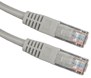 Esperanza Cable UTP Cat 6 Grey 0.5m