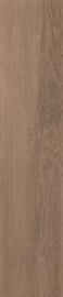 Paradyz Ceramika Floor Tiles Pago 21.5x98.5cm Natural Mat