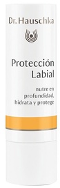Губная помада Dr.Hauschka Lip Care Stick, 4.9 г