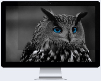 Privaatsusfilter (Privacy filter) Natec Owl 23.8" 16:9