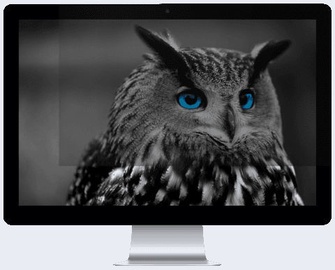 Privatumo filtras (Privacy filter) Natec Owl 23.8" 16:9, 23.8 "