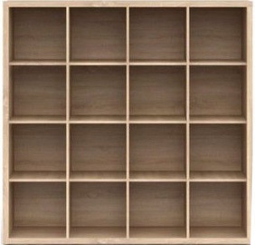 Black Red White Shelf Nepo REG/15/16 Sonoma Oak