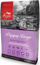 Orijen Puppy Large Chicken Fish And Turkey 6kg